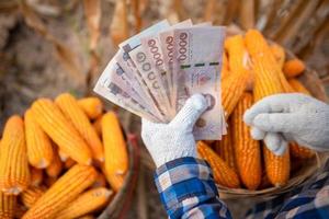 les producteurs de maïs détiennent des billets thaïlandais. la notion de bénéfices du commerce. photo