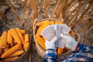 les producteurs de maïs détiennent des billets thaïlandais. la notion de bénéfices du commerce. photo