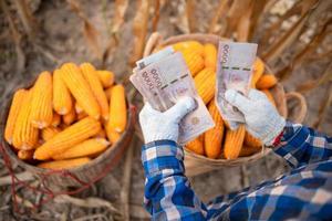 les producteurs de maïs détiennent des billets thaïlandais. la notion de bénéfices du commerce. photo