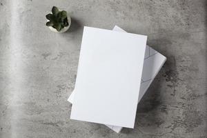 livre à couverture blanche vue en grand angle avec plante d'intérieur sur fond de ciment pour maquette photo