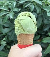 grosse main tenant de la glace matcha au thé vert sur fond d'arbre photo