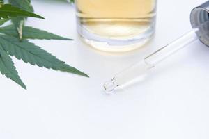 feuilles de chanvre médicinales à côté d'un compte-gouttes et d'une bouteille en verre d'huile de chanvre cbd. concept de cannabis médical. photo