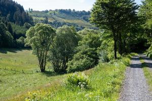 route dans le paysage photo