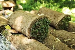 gros plan de tapis d'herbe de tapis à l'extérieur avec motif vert et marron. la pelouse d'herbe verte et le sol sont roulés en rouleaux, le gazon dans une pile est prêt pour le verdissement. photo