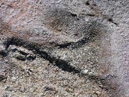 taches d'essence sur le sable photo