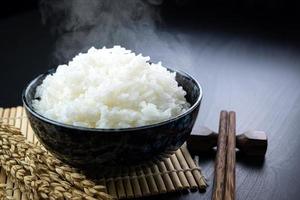 riz au jasmin cuit dans des tasses et des baguettes en céramique et une oreille de riz placée sur une table en bois noire. photo en gros plan. Angle de 45 degrés.