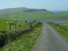 les îles shetland en ecosse photo