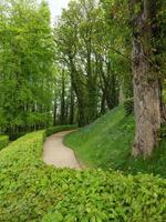 jardin et littoral près de newcastle en angleterre photo