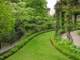 jardin et littoral près de newcastle en angleterre photo