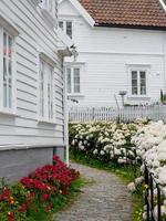 ville de stavanger en norvège photo