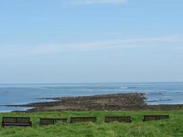 jardin et littoral près de newcastle en angleterre photo