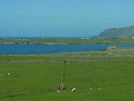 les îles shetland en ecosse photo