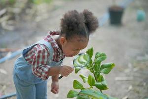 petite fille afro-fermière dans le jardin arrosant les plantes et récoltant des légumes. photo