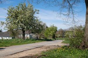 printemps, bergisches land, allemagne photo