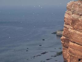 l'île d'helgoland photo