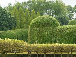 jardin et littoral près de newcastle en angleterre photo