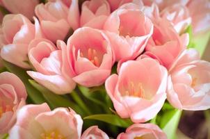 bouquet de fleurs de tulipes avec des tulipes roses en papier vert photo