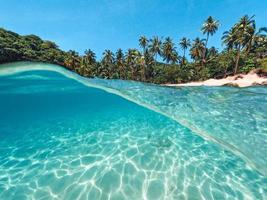 palmier de l'île tropicale et sous l'eau photo
