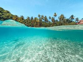 palmier de l'île tropicale et sous l'eau photo