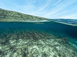 sous l'eau à la plage de l'île photo