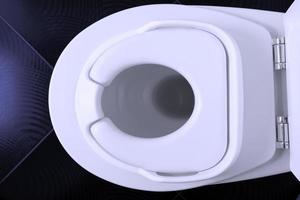gros plan d'un siège de toilette pour bébé de couleur blanche, sur une cuvette de toilette blanche dans des toilettes avec un sol carrelé noir.