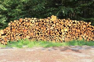 gros plan détaillé de la texture du bois de chauffage empilé avec cernes annuels photo