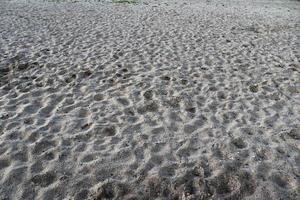 vue rapprochée détaillée sur le sable d'une plage de la mer baltique photo