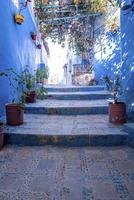 ruelle étroite d'escalier avec des plantes en pot menant à des structures résidentielles des deux côtés