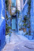 ruelle étroite de la ville bleue avec des plantes en pot menant à des structures résidentielles fermées photo