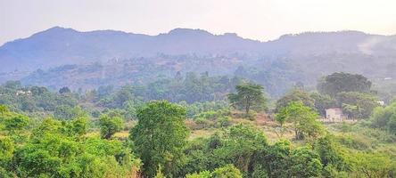 montagnes, arbres et nature de l'uttarakhand photo