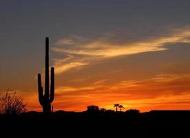 coucher de soleil dans le désert photo