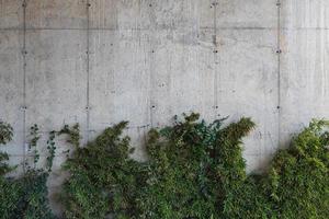 fond de mur de pierre grise avec des feuilles. modèle de texture et de fond de mur d'ardoise photo