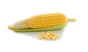 maïs jaune avec feuille sur fond blanc
