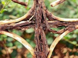 la structure en acier rouillé s'est érodée et a été gravement endommagée. photo