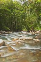 jungle rivière-costa rica