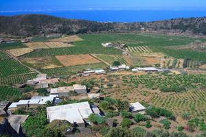 plantation, pantelleria