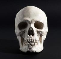 crâne humain sur fond noir