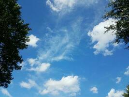 ciel bleu avec de fins cirrus dans le ciel et des feuilles vertes photo