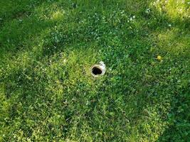 trou dans un tuyau métallique dans l'herbe verte ou la pelouse photo