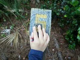 numéro cinq et main d'enfant sur un poteau en bois ou un pieu avec des plantes photo