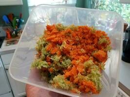récipient en plastique avec de la pulpe de céleri et de carotte dans la cuisine photo
