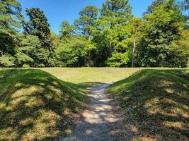 herbe verte ou pelouse et monticules de terre en plein air dans la nature avec chemin photo