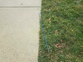 bâton bleu, herbe verte et trottoir gris photo
