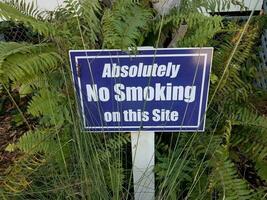 Panneau bleu absolument interdit de fumer avec lézard et plantes vertes photo
