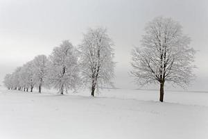 hiver photo