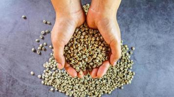 grains de café vert bio à la main photo
