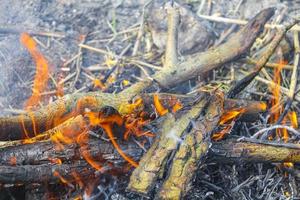 feu de camp et bois brûlant avec flammes orange allemagne. photo