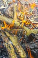 feu de camp et bois brûlant avec flammes orange allemagne. photo