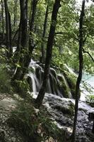 lacs de plitvice, croatie photo