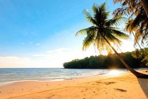 belle plage tropicale au coucher du soleil avec palmier et ciel bleu pour voyager en vacances se détendre, style photo vintage